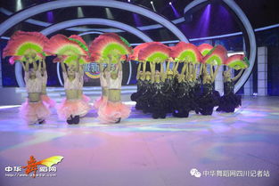 舞韻綻芳華，星光啟航藝術(shù)培訓(xùn)學(xué)校攜《陌上花開》亮相四川廣播電視臺(tái)超級(jí)新秀場(chǎng)